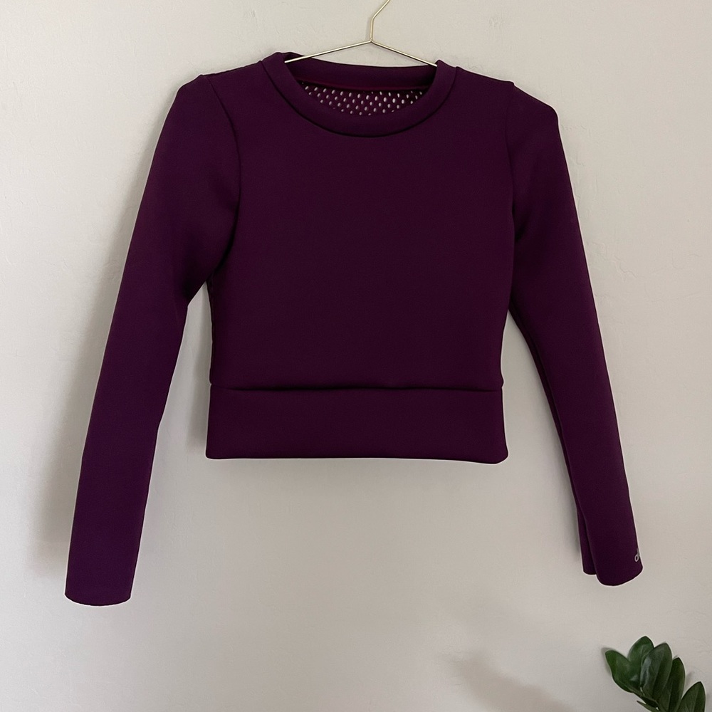 ALO YOGA Juneberry Perforated Workout Top Size Small